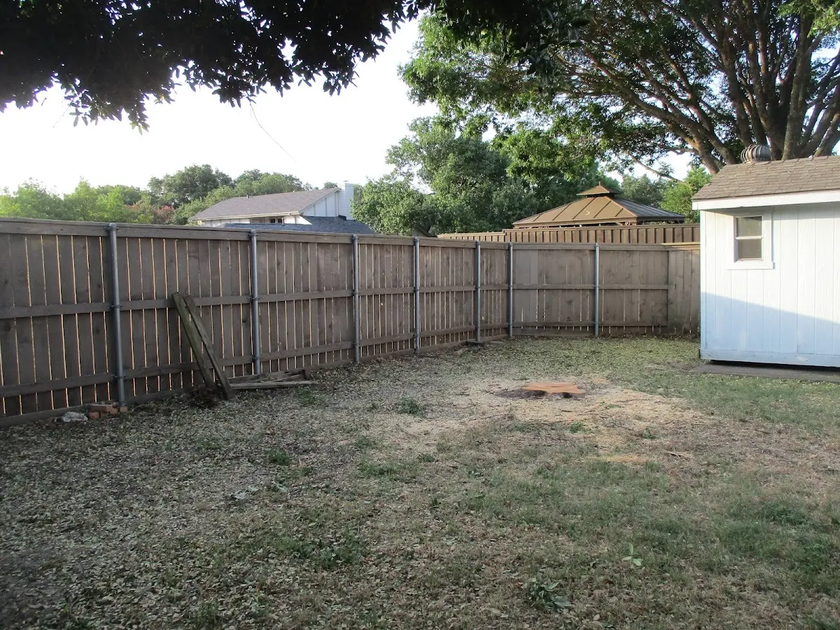 Cleared yard after professional tree removal in Callahan